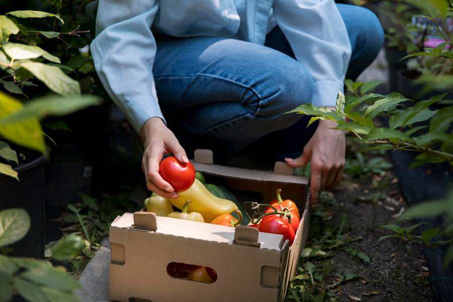 woman-working-her-sustainable-greenhouse_23-2149072096